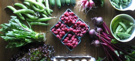 real food july CSA farm sustainable localvore organic
