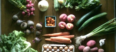 real food august CSA farm sustainable localvore organic
