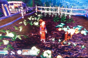 Oblivion farm