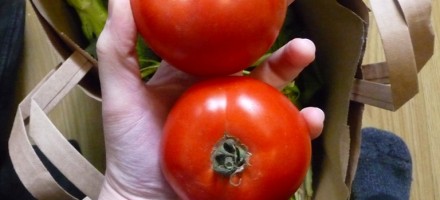 CSA tomatoes tomato
