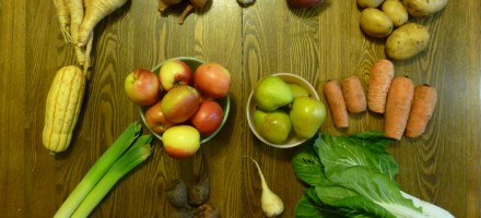 csa washington PNW veggies bok choi
