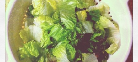 romaine lettuce