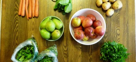 csa spring terry's berries