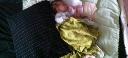 bedsharing nap ekwetzel