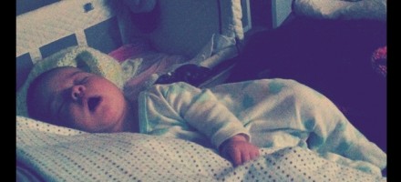 phoebe napping early morning