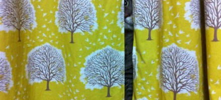 baby nursery joel dewberry modern magestic meadow sunglow