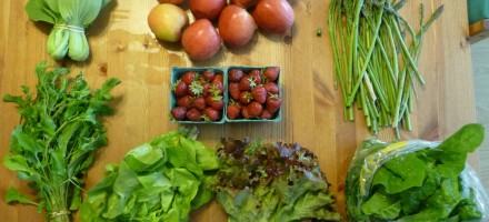 csa terry's berries organic food pnw