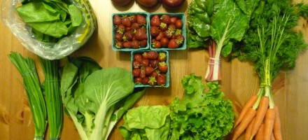 csa local harvest pnw