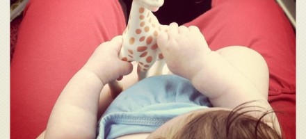vulli sophie the giraffe teether