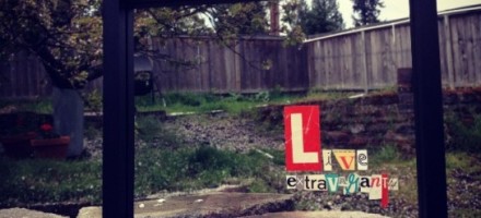 live extravagantly collage